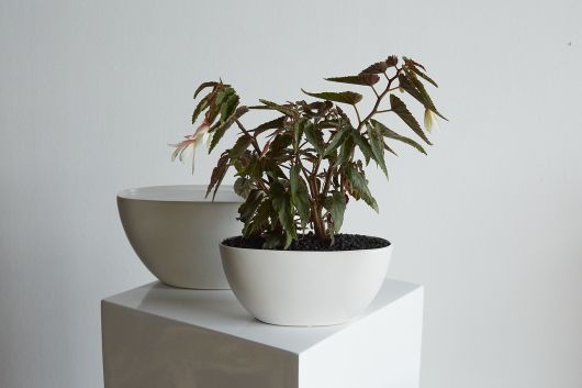 Metta Boat Planter
