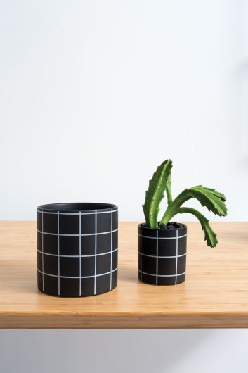 Pepper Flower Pot
