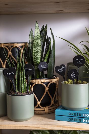 Plant Mom Plant Stick