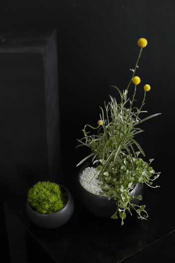 Simply Angled Bowl - Small